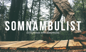 somnambulist